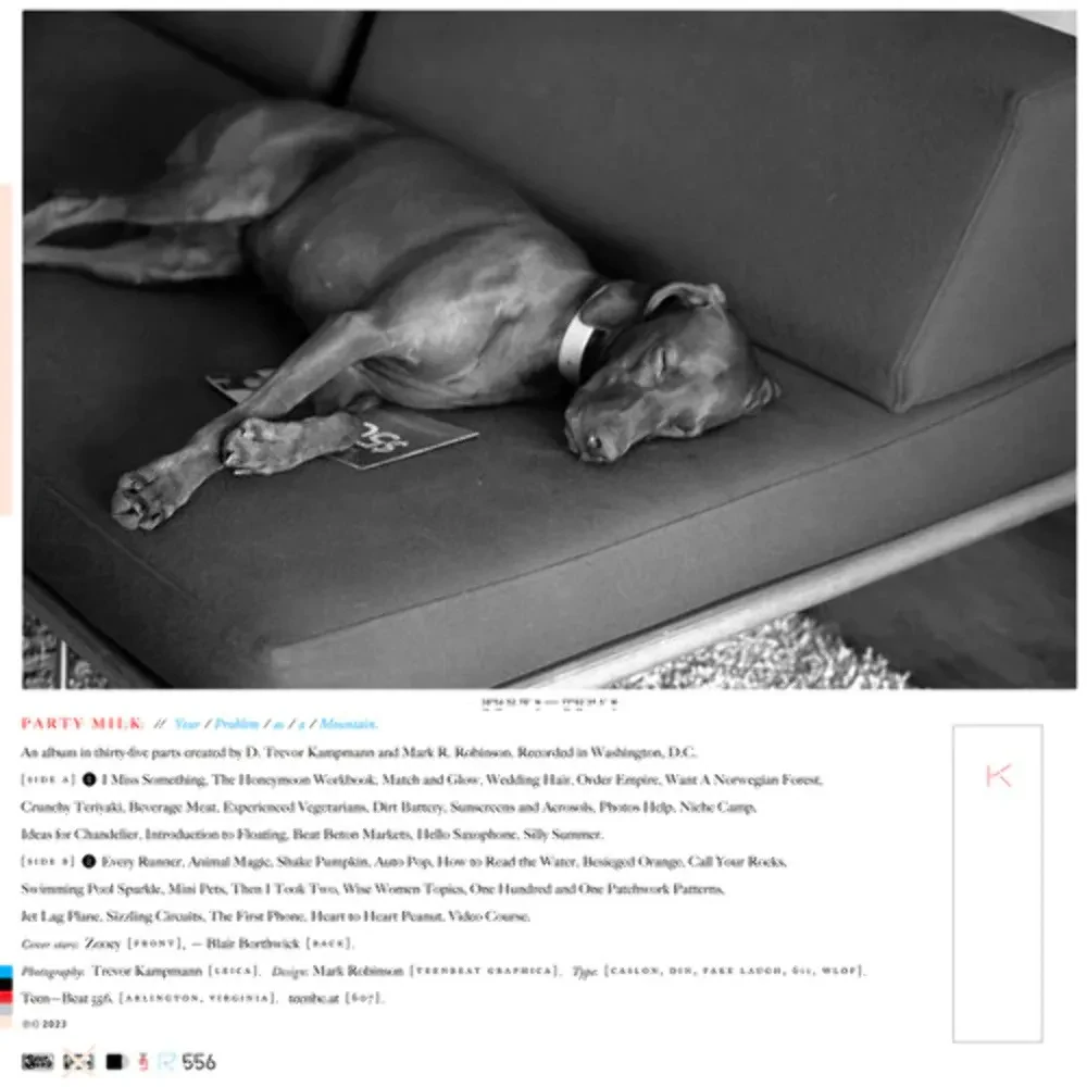 Виниловая пластинка Party Milk – Your Problem (Релиз 2023) Sealed
