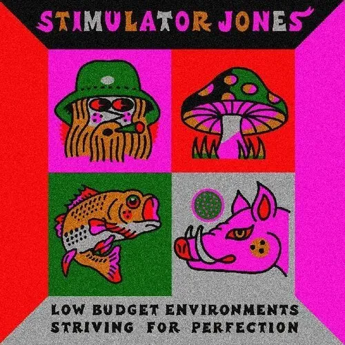 Виниловая пластинка Stimulator Jones – Low Budget Environments Striving For Perfection (Релиз 2021)