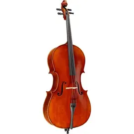 Виолончель Ren Wei Shi Model 7000 Cello