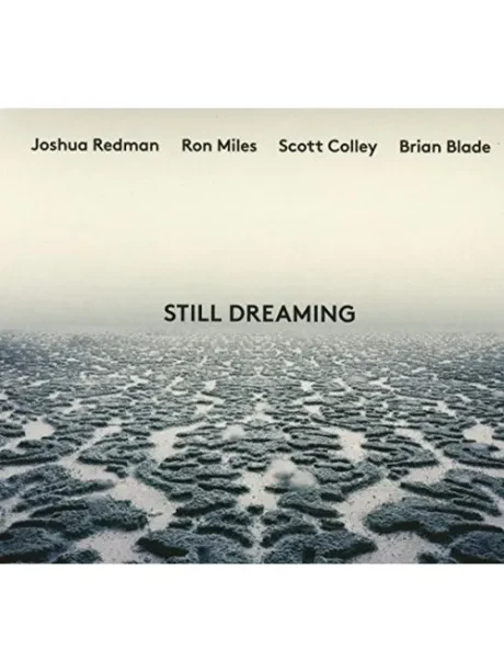 JOSHUA REDMAN, RON MILES, SCOTT COLLEY, BRIAN BLADE - Still Dreaming (CD)