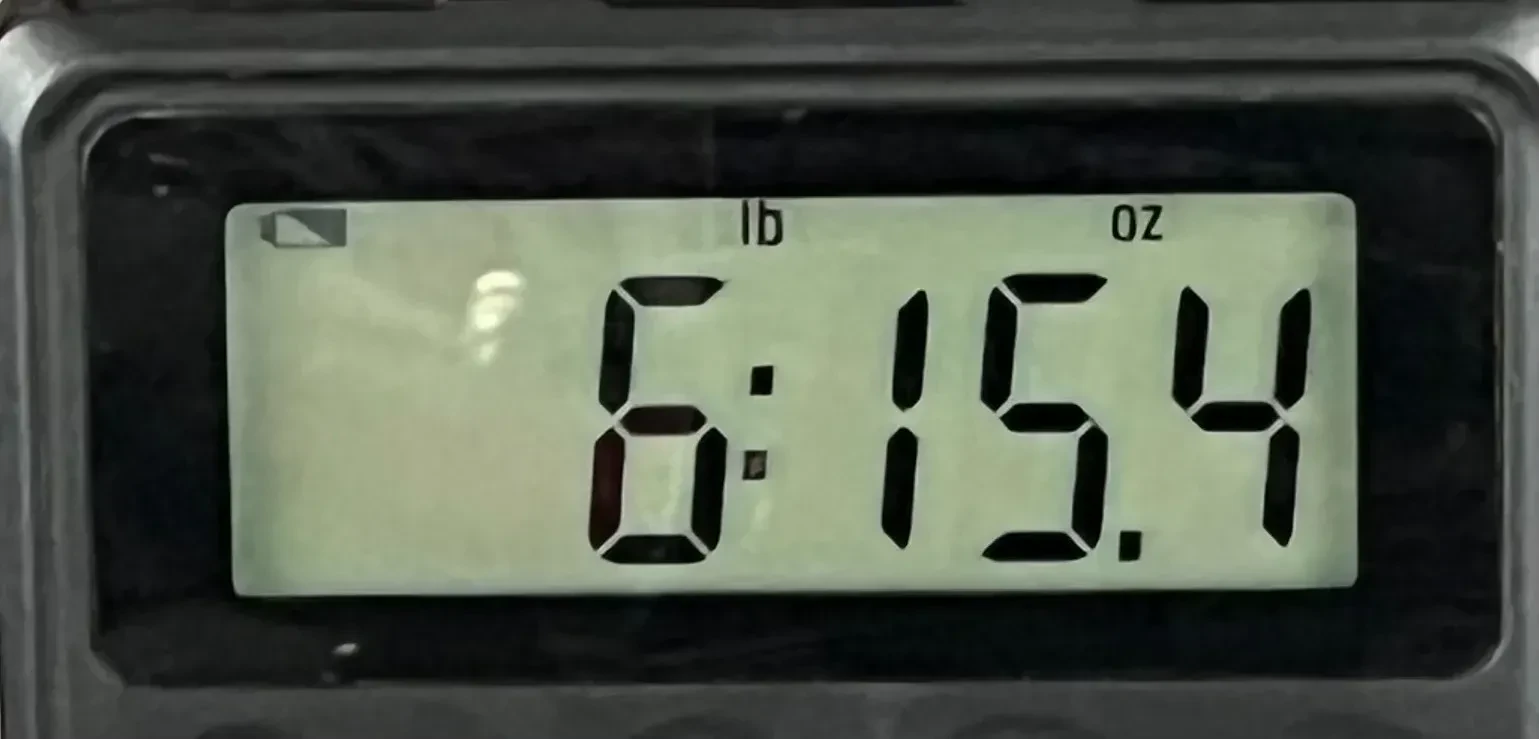 Изображение №10