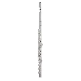 Флейта Wm. S Haynes Amadeus Flute Sterling Silver Headjoint