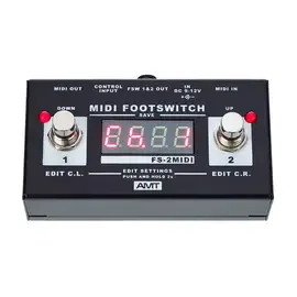 Футсвич для усилителя AMT Electronics FS-2-M MIDI