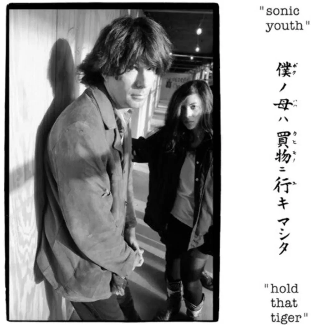 Виниловая пластинка Sonic Youth - Hold That Tiger NEW Vinyl