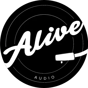 Стабилизатор пластинки Alive Audio AA-ACC-CLAMP с фиксацией, черный, диаметр 88 мм