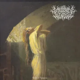 Mosiac Window - Plight of Acceptance [Random Color Vinyl] NEW Vinyl