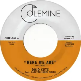 Виниловая пластинка Dojo Cuts – Here We Are (Релиз 2022)