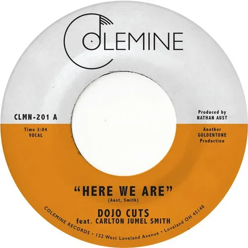 Виниловая пластинка Dojo Cuts – Here We Are (Релиз 2022)
