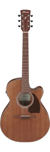 Ibanez PC54CE Acoustic/Electric Guitar Open Pore Natural