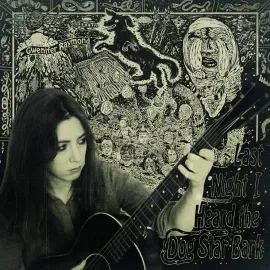 Виниловая пластинка Gwenifer Raymond – Last Night I Heard The Dog Star Bark 2025