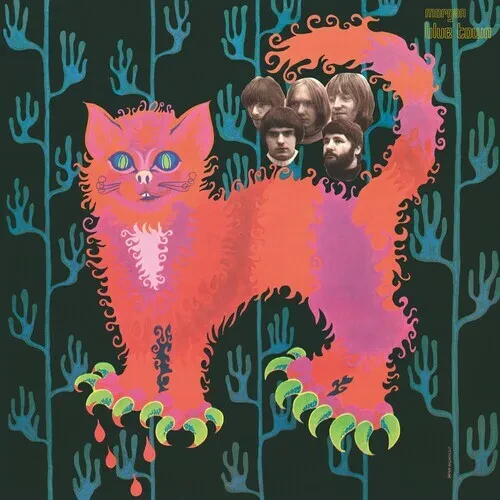 Виниловая пластинка The Pussy Group - Pussy Plays (ginger Vinyl) [New Vinyl LP] 180 Gram