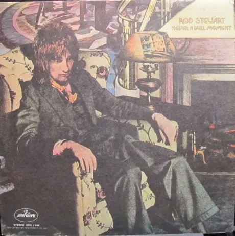 ROD STEWART - Never A Dull Moment (LP , Used)