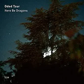 Виниловая пластинка Oded Tzur – Here Be Dragons
