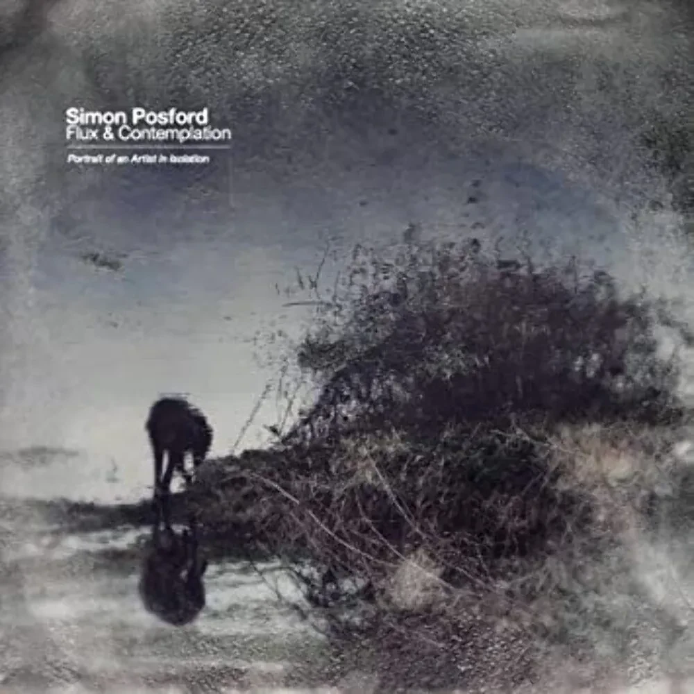 Виниловая пластинка Simon Posford – Flux & Contemplation: Portrait Of An Artist In Isolation (Релиз 2023)