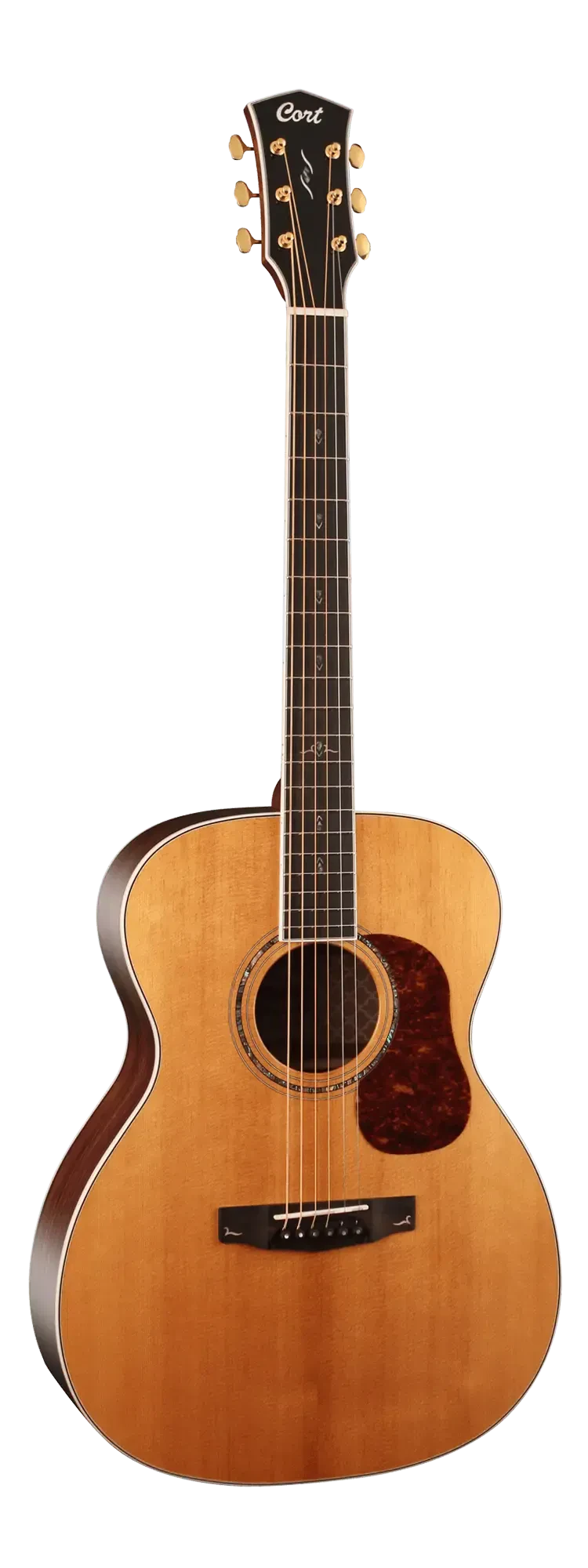 Акустическая гитара Cort Gold-O8 Orchestra Natural Glossy