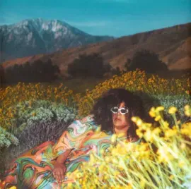 Виниловая пластинка Brittany Howard – What Now