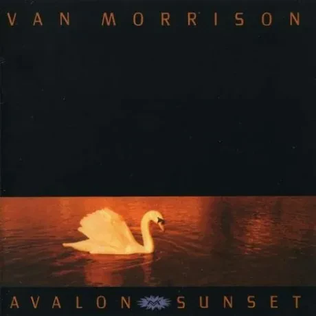 VAN MORRISON - Avalon Sunset (LP , Used)