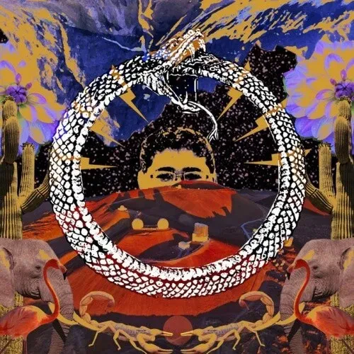 Виниловая пластинка Stone House on Fire - Neverending Cycle [New Vinyl LP]