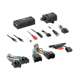 Axxess AXLOC-GMLN1 2-Channel Line Output Converter with T-harness