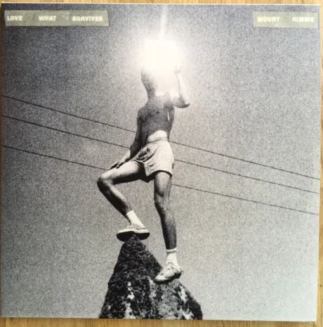 Виниловая пластинка Mount Kimbie – Love What Survives