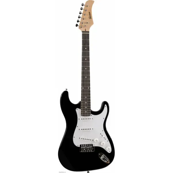 Электрогитара Terris TST-39 Stratocaster SSS Black