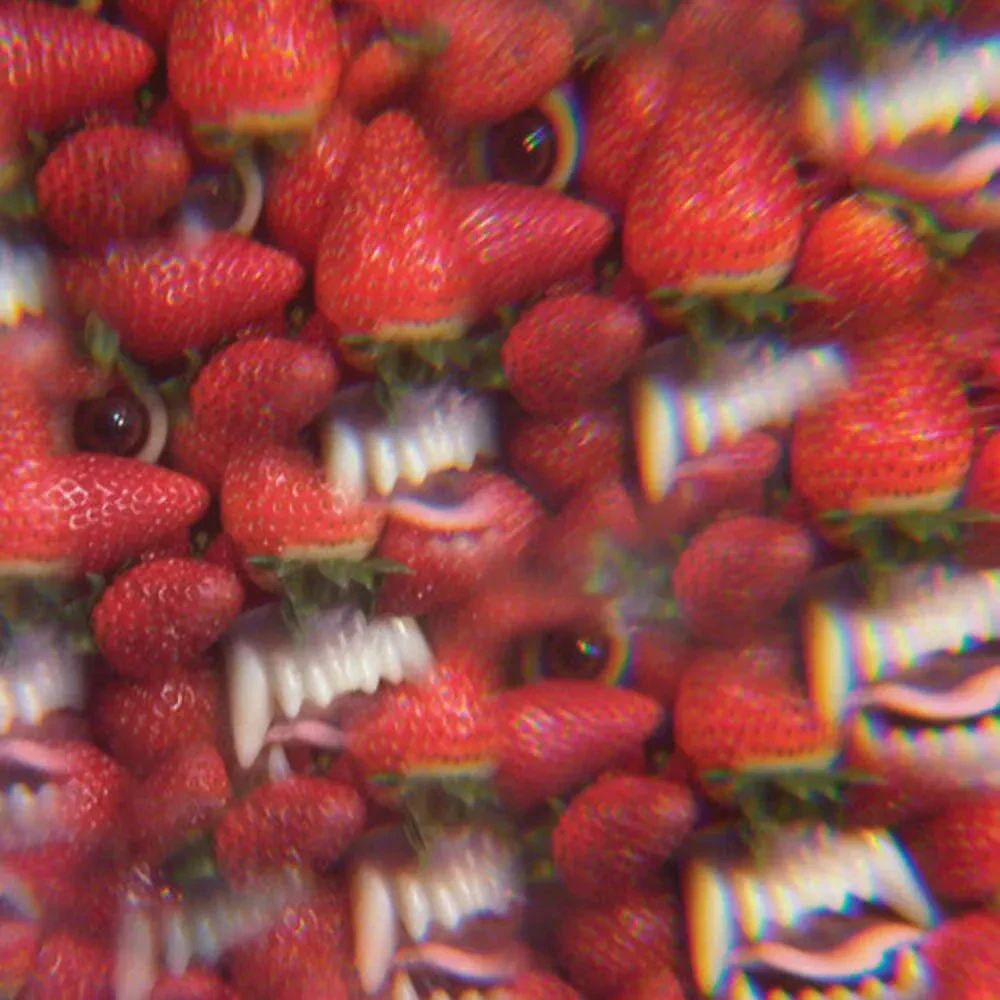 Виниловая пластинка Thee Oh Sees – Floating Coffin Релиз 2025