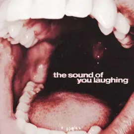 Виниловая пластинка Thxsomch - The Sound of You Laughing [New Vinyl LP]