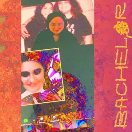 Виниловая пластинка Bachelor - Doomin' Sun [New Vinyl LP]