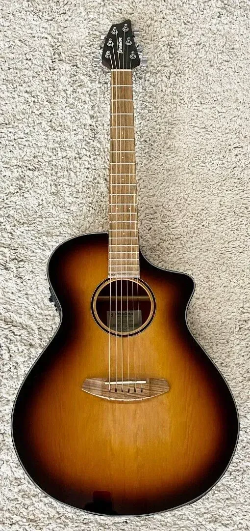 Электроакустическая гитара Breedlove ECO Discovery S Edgeburst