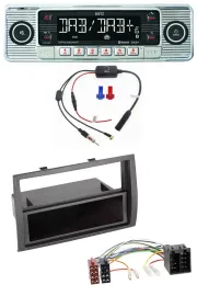 Dietz DAB USB MP3 Bluetooth Autoradio für Citroen Jumper Peugeot Boxer Fiat Duca