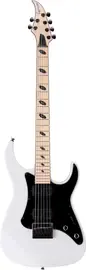 Электрогитара Caparison Dellinger-JSM Joel Stroetzel Signature White Gloss