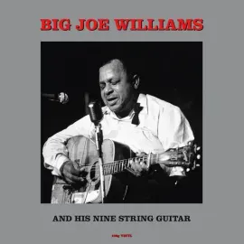 Виниловая пластинка Big Joe Williams – And His Nine String Guitar (Релиз 1962)
