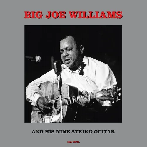 Виниловая пластинка Big Joe Williams – And His Nine String Guitar (Релиз 1962)