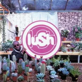 Виниловая пластинка Lush – Lovelife 2023