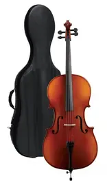 Виолончель GEWA Cello outfit Europe 1/2