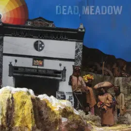 Виниловая пластинка DEAD MEADOW – Nothing They Need