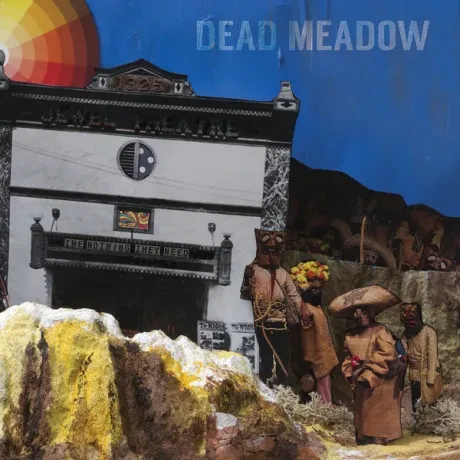 Виниловая пластинка DEAD MEADOW – Nothing They Need