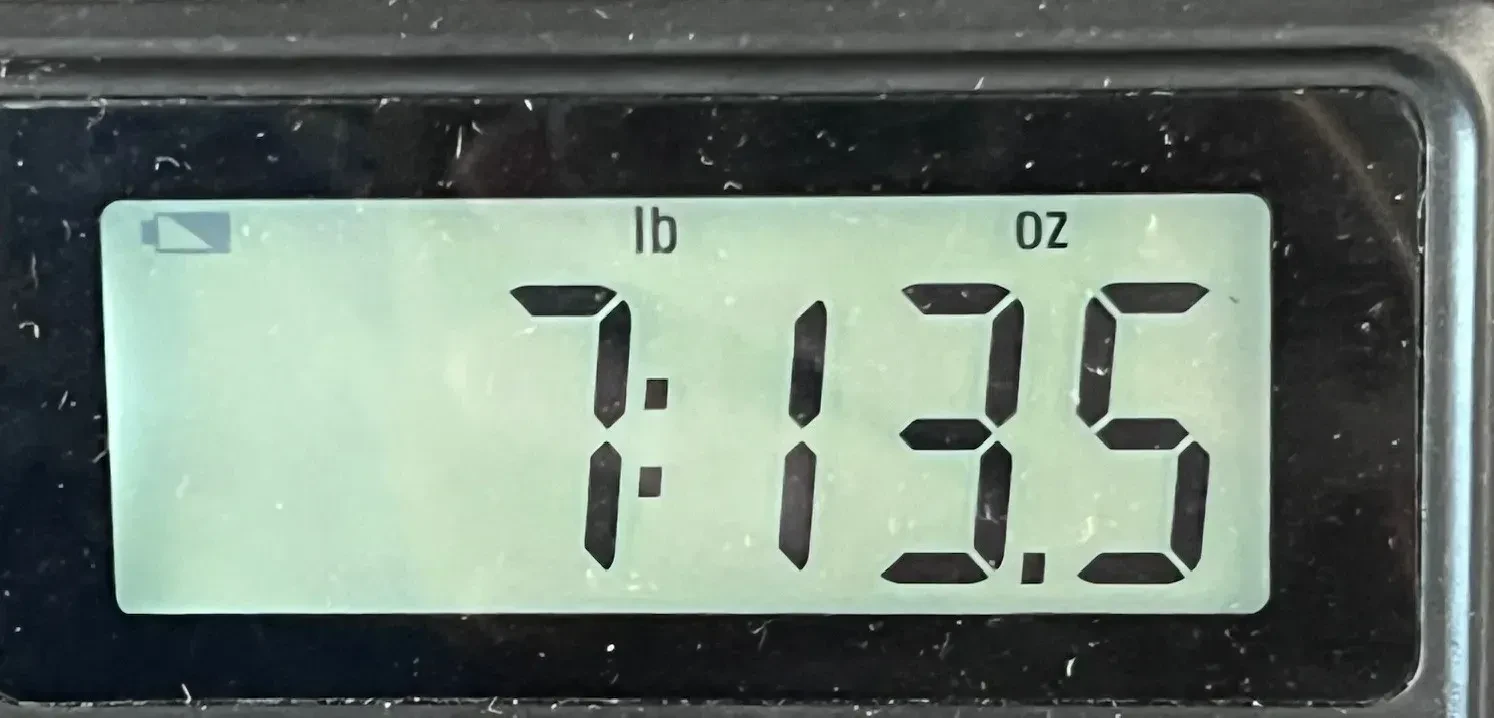 Изображение №6