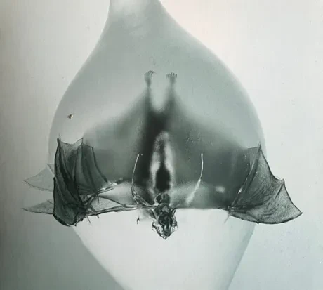 UNPROCESSED - Angel (CD)
