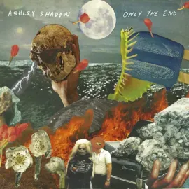 Виниловая пластинка Ashley Shadow – Only The End 2021 Sealed