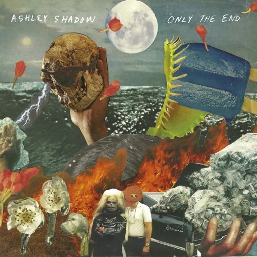 Виниловая пластинка Ashley Shadow – Only The End 2021 Sealed