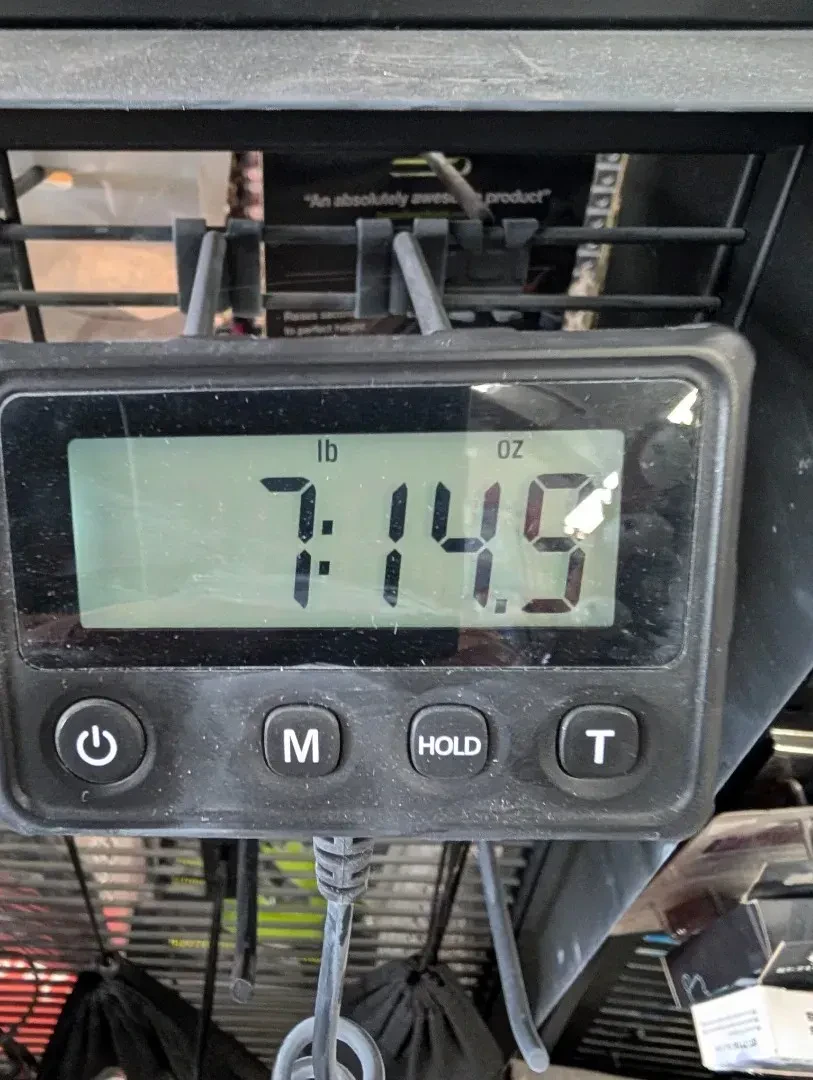 Изображение №7