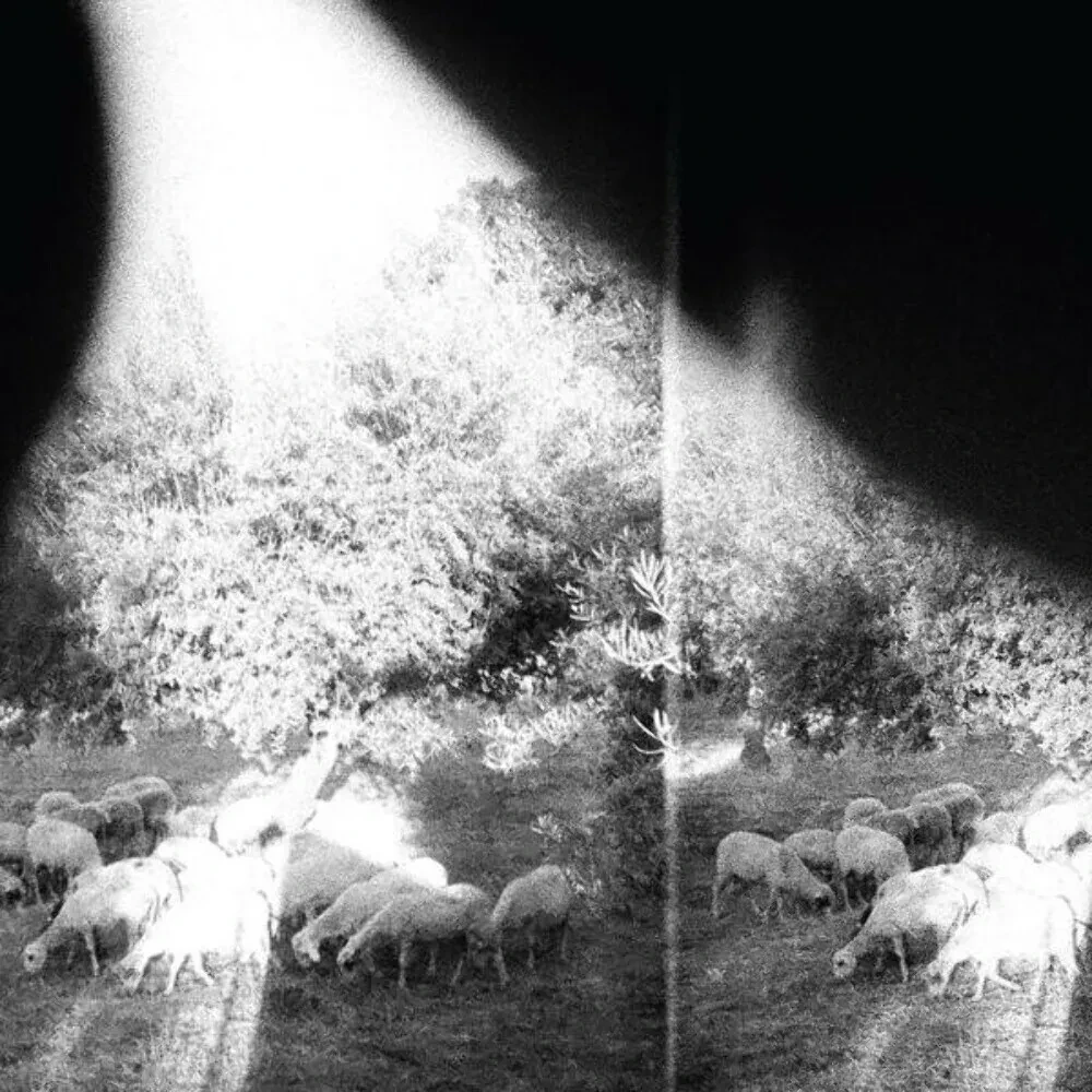 Виниловая пластинка Godspeed You Black Emperor! – Asunder, Sweet and Other Distress