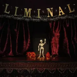 Виниловая пластинка Chase Petra - Liminal [New Vinyl LP] Colored Vinyl