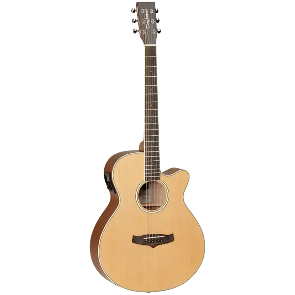 Электроакустическая гитара Tanglewood TW9 E