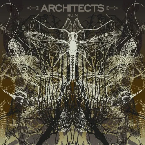 Виниловая пластинка Architects - Ruin [New Vinyl LP] Ltd Ed, Picture Disc