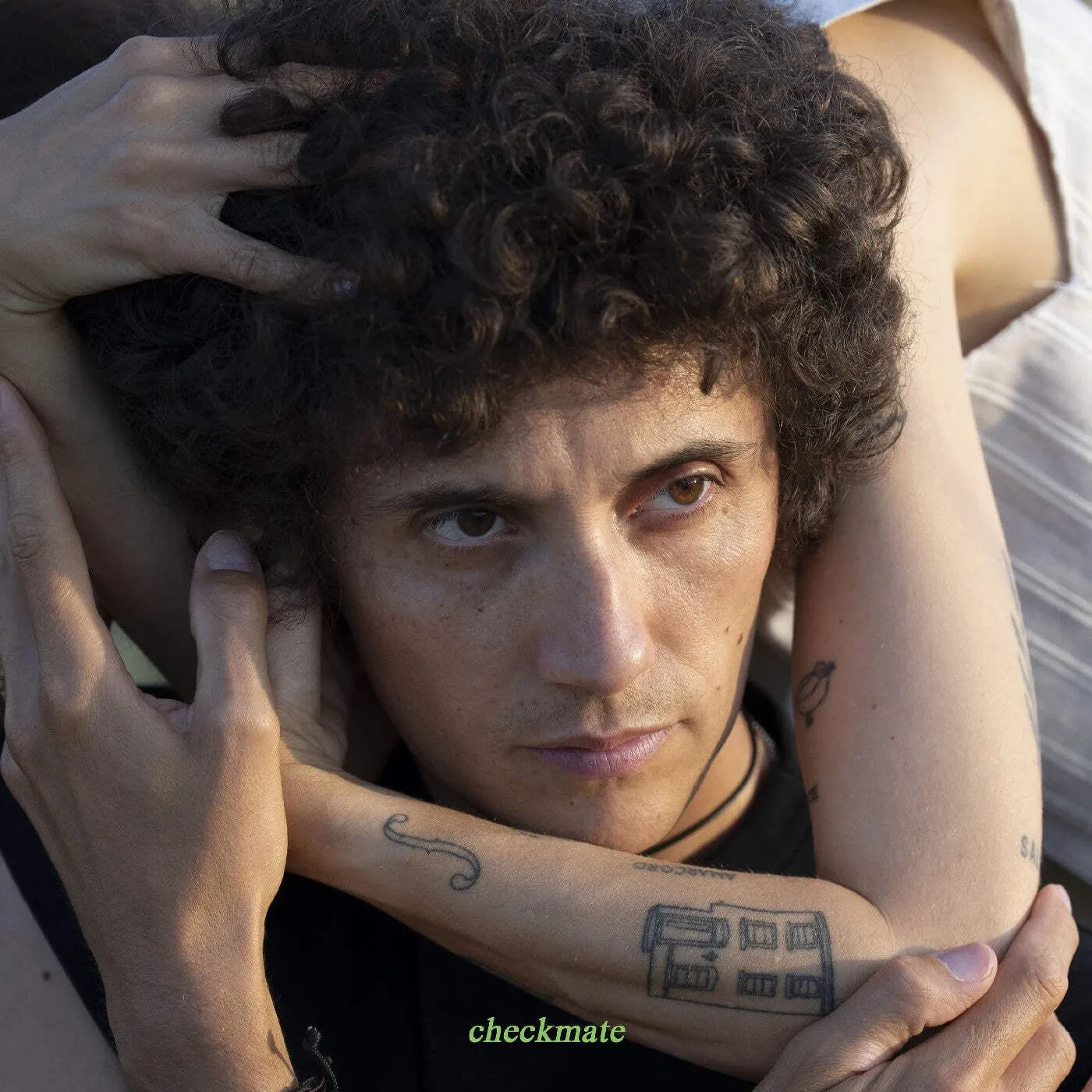 Виниловая пластинка Ron Gallo – Checkmate (Релиз 2025)