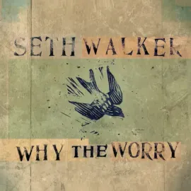Seth Walker - Why The Worry NEW Vinyl