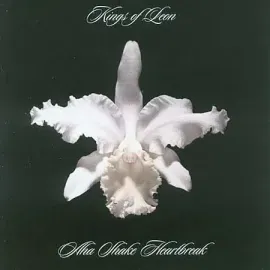 Виниловая пластинка Kings of Leon – Aha Shake Heartbreak