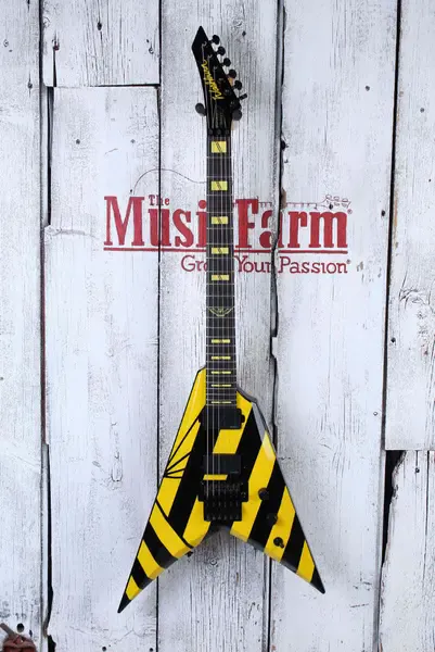 Электрогитара Washburn Custom Shop V2FR Michael Sweet Stryper USA Parallaxe V